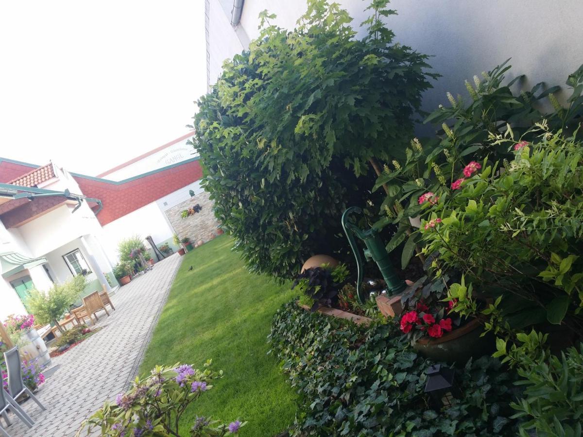 Weingut Apartment Hildegard Gangl Illmitz Eksteriør billede