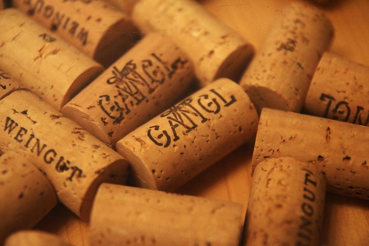 Weingut Apartment Hildegard Gangl Illmitz Eksteriør billede